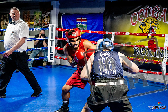 Cougar Boxing Basement Brawl -0370