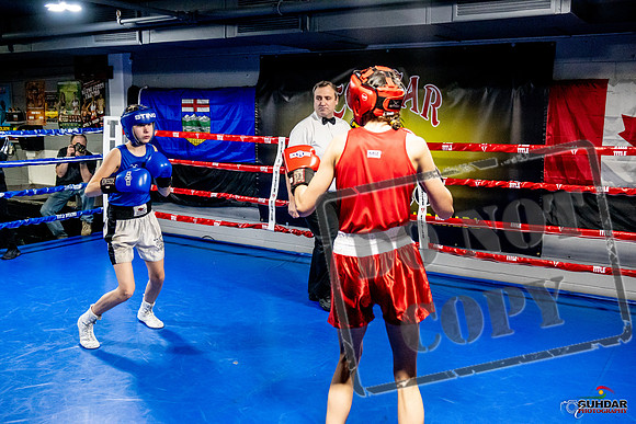 Cougar Boxing Basement Brawl -0571