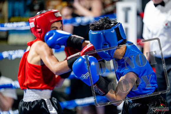 Cougar boxing June 7th 2025-0178