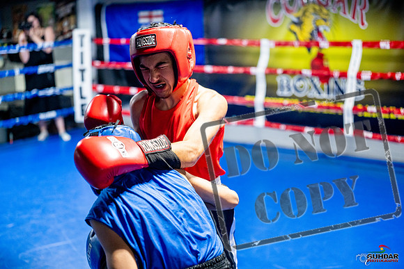 Cougar boxing June 7th 2025-0162