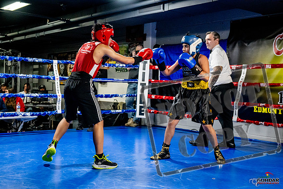 Cougar Boxing Basement Brawl -0299