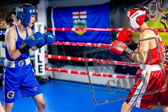 Cougar boxing June 7th 2025-0110