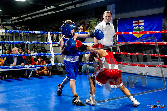 Cougar Boxing Basement Brawl -0081
