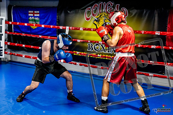 Cougar Boxing Basement Brawl -0412