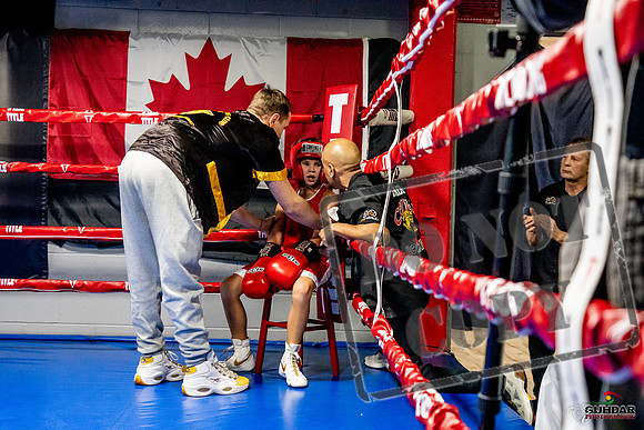 Cougar Boxing Basement Brawl -0090
