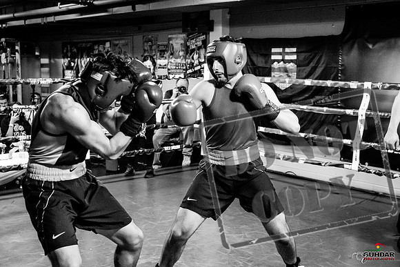 Cougar Boxing Basement Brawl -0672