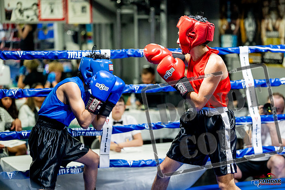 Cougar boxing June 7th 2025-0172