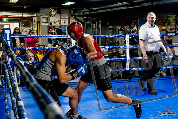 Cougar Boxing Basement Brawl -0660