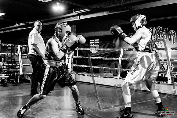 Cougar Boxing Basement Brawl -0140