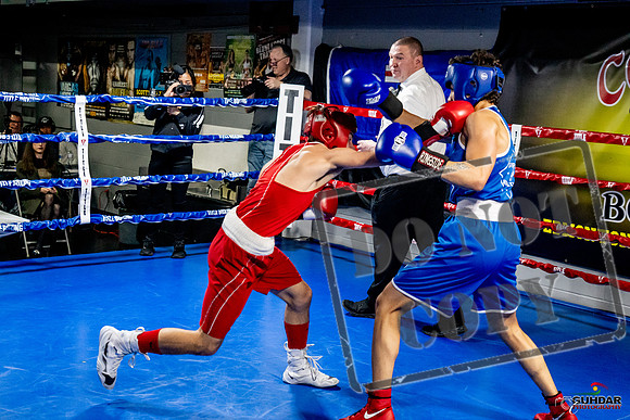 Cougar Boxing Basement Brawl -0456