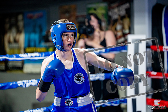 Cougar boxing June 7th 2025-0113