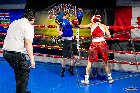 Cougar Boxing Basement Brawl -0500