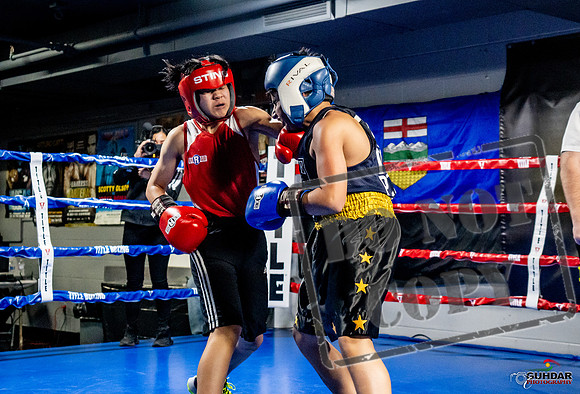 Cougar Boxing Basement Brawl -0309