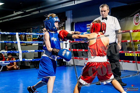 Cougar Boxing Basement Brawl -0084