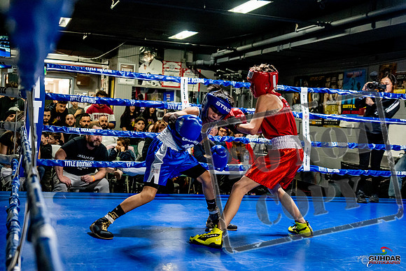 Cougar Boxing Basement Brawl -0239