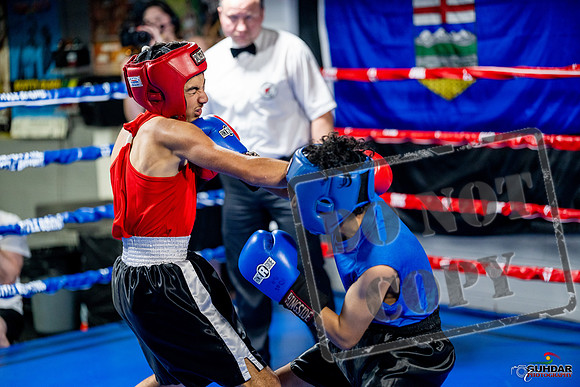 Cougar boxing June 7th 2025-0182