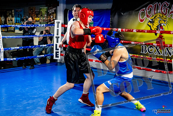 Cougar Boxing Basement Brawl -0535