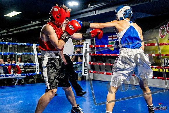Cougar Boxing Basement Brawl -0153