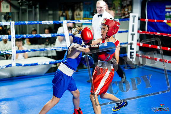 Cougar boxing June 7th 2025-0051