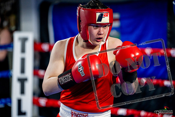 Cougar boxing June 7th 2025-0716