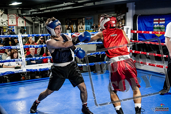 Cougar Boxing Basement Brawl -0377