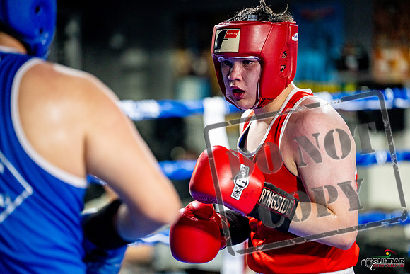 Cougar boxing June 7th 2025-0777
