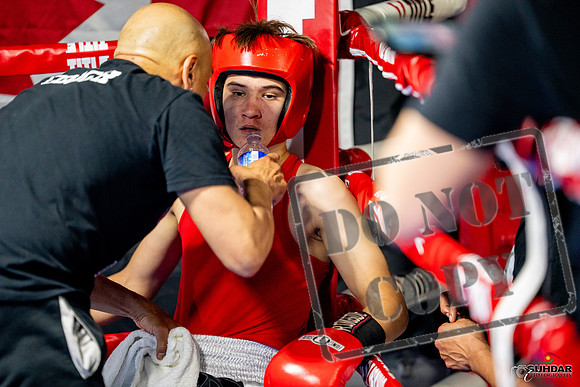 Cougar boxing June 7th 2025-0822