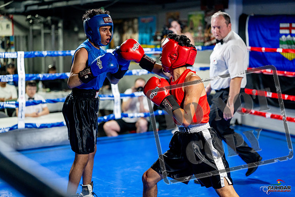 Cougar boxing June 7th 2025-0246