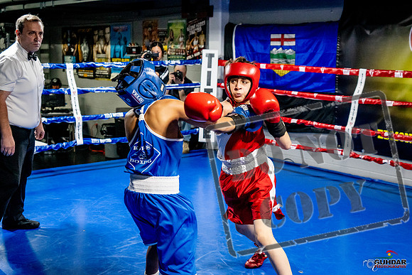 Cougar Boxing Basement Brawl -0336