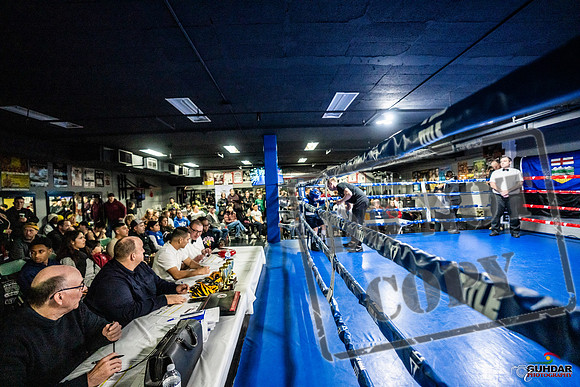 Cougar Boxing Basement Brawl -0048