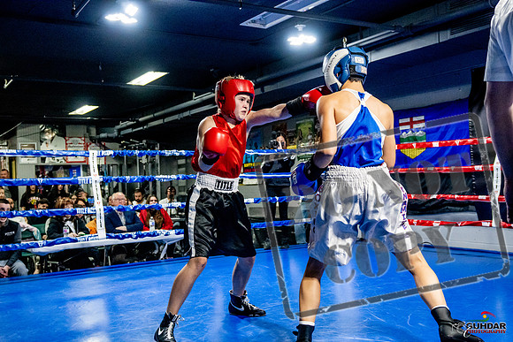 Cougar Boxing Basement Brawl -0144