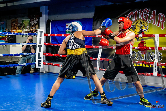 Cougar Boxing Basement Brawl -0291