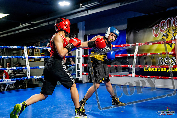 Cougar Boxing Basement Brawl -0279