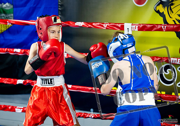 Cougar boxing June 7th 2025-0033