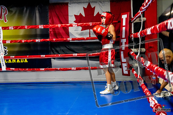 Cougar Boxing Basement Brawl -0091