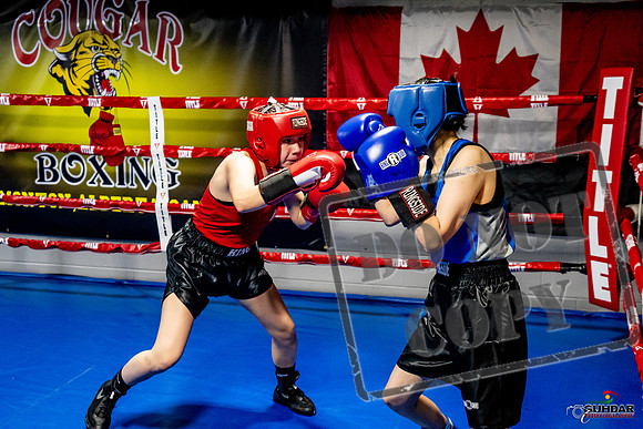 Cougar Boxing Basement Brawl -0555