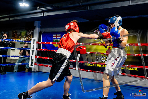 Cougar Boxing Basement Brawl -0157