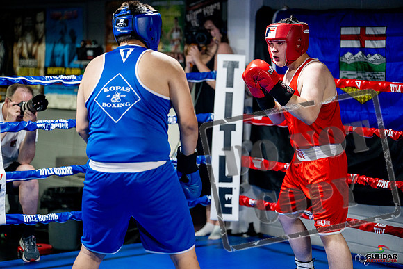Cougar boxing June 7th 2025-0708