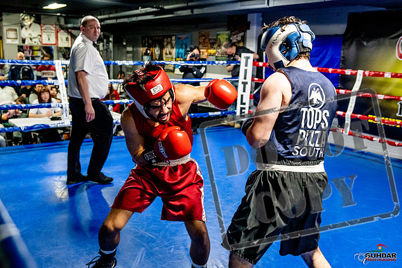 Cougar Boxing Basement Brawl -0416