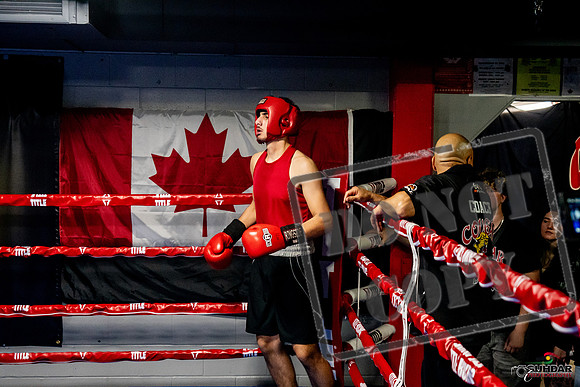 Cougar Boxing Basement Brawl -0653