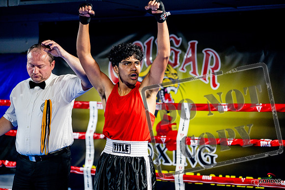 Cougar boxing June 7th 2025-0638