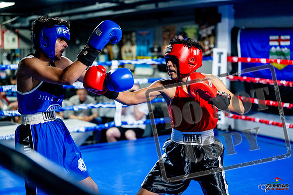 Cougar boxing June 7th 2025-0622