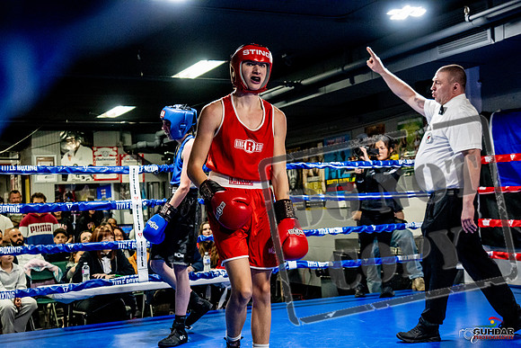 Cougar Boxing Basement Brawl -0130