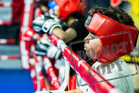 Cougar Boxing -0015