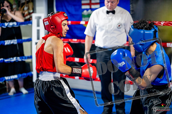 Cougar boxing June 7th 2025-0183
