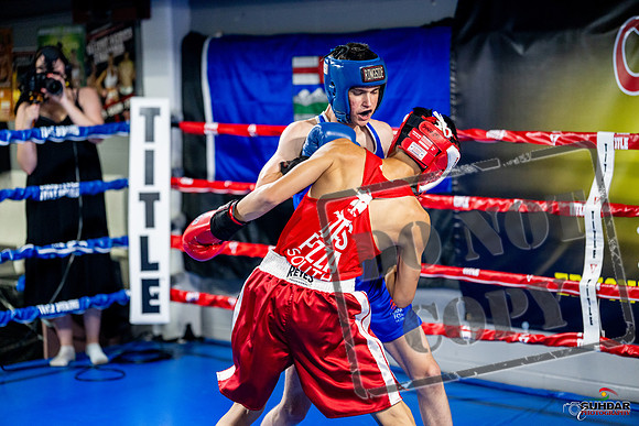 Cougar boxing June 7th 2025-0122