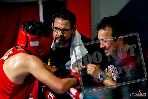 Cougar boxing June 7th 2025-0634