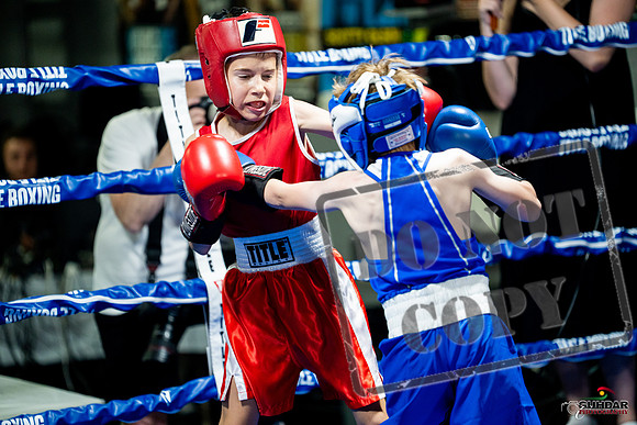 Cougar boxing June 7th 2025-0061