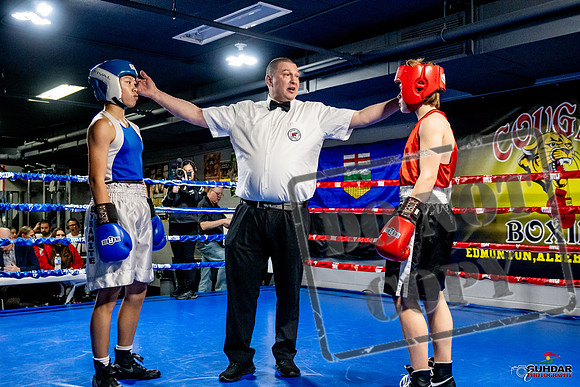 Cougar Boxing Basement Brawl -0137