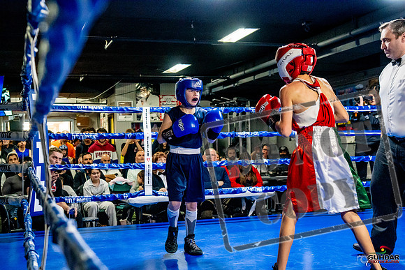 Cougar Boxing Basement Brawl -0060